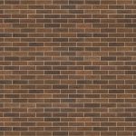 Мотив Coral 1НФ