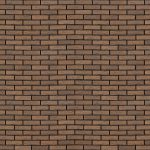 Мотив Coral 1НФ